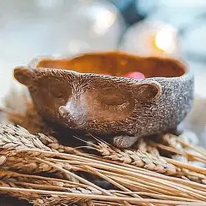 Изображение программы 2
